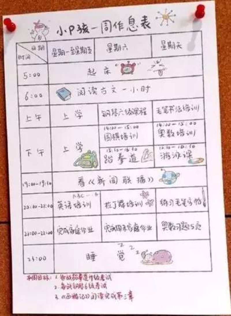 真金教育收费价目表：如何选择最适合你的课程？