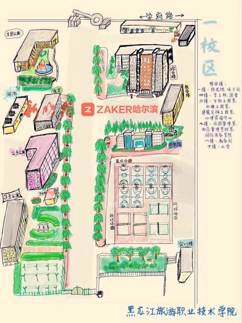 如何快速找到哈尔滨教育局服务号？步骤详解